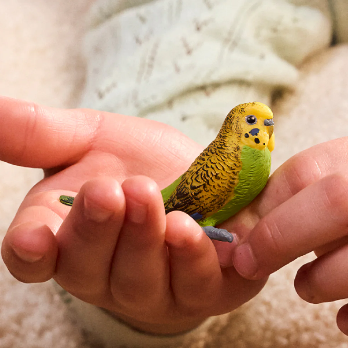 Budgie - Image 2
