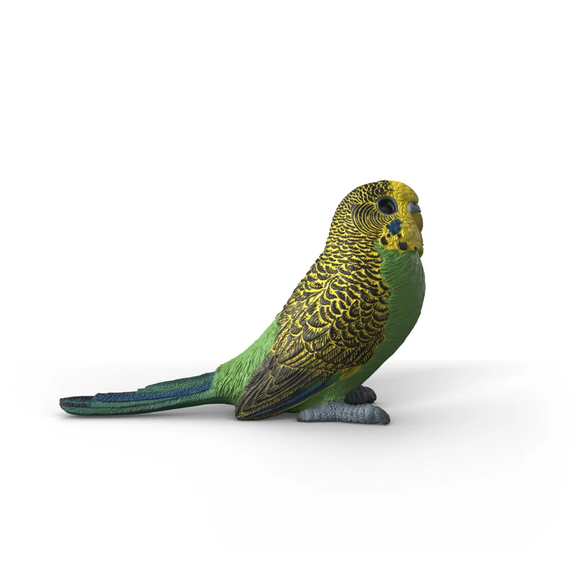 Budgie - Image 3