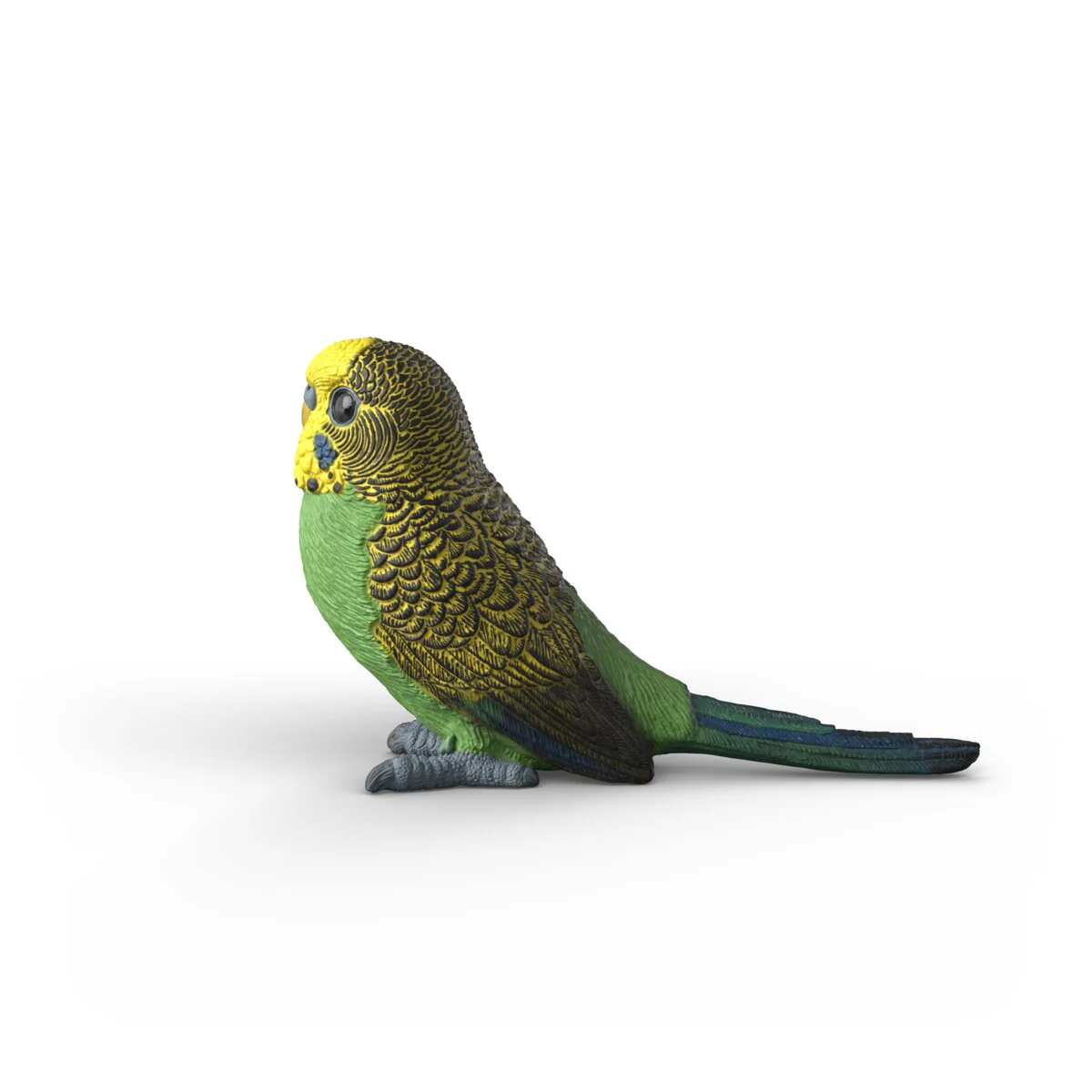 Budgie - Image 5
