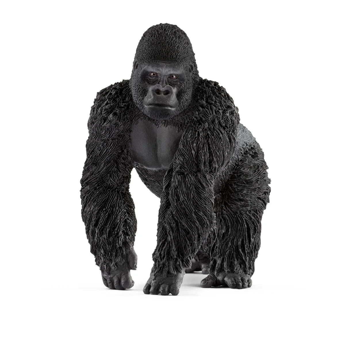 Gorilla, male (bundle)