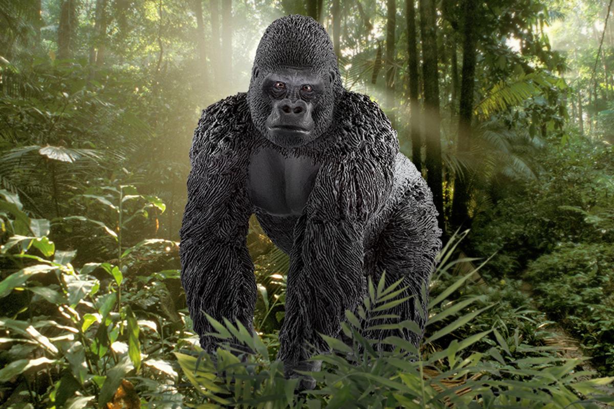 Gorilla, male (bundle) - Image 5