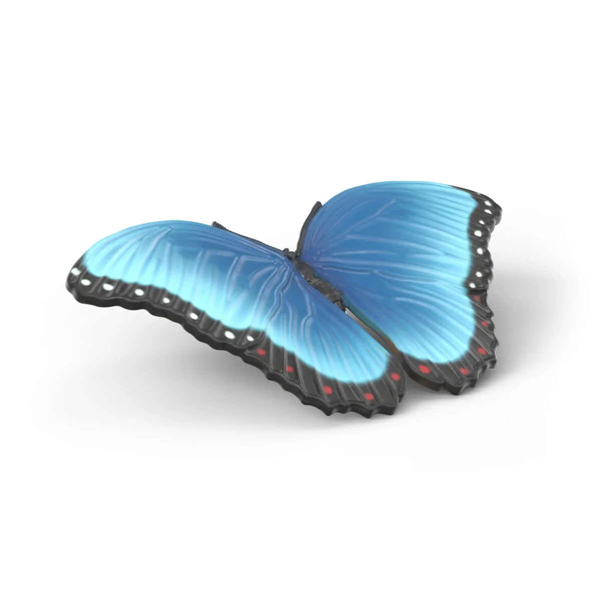 Insects discovery set - Image 5