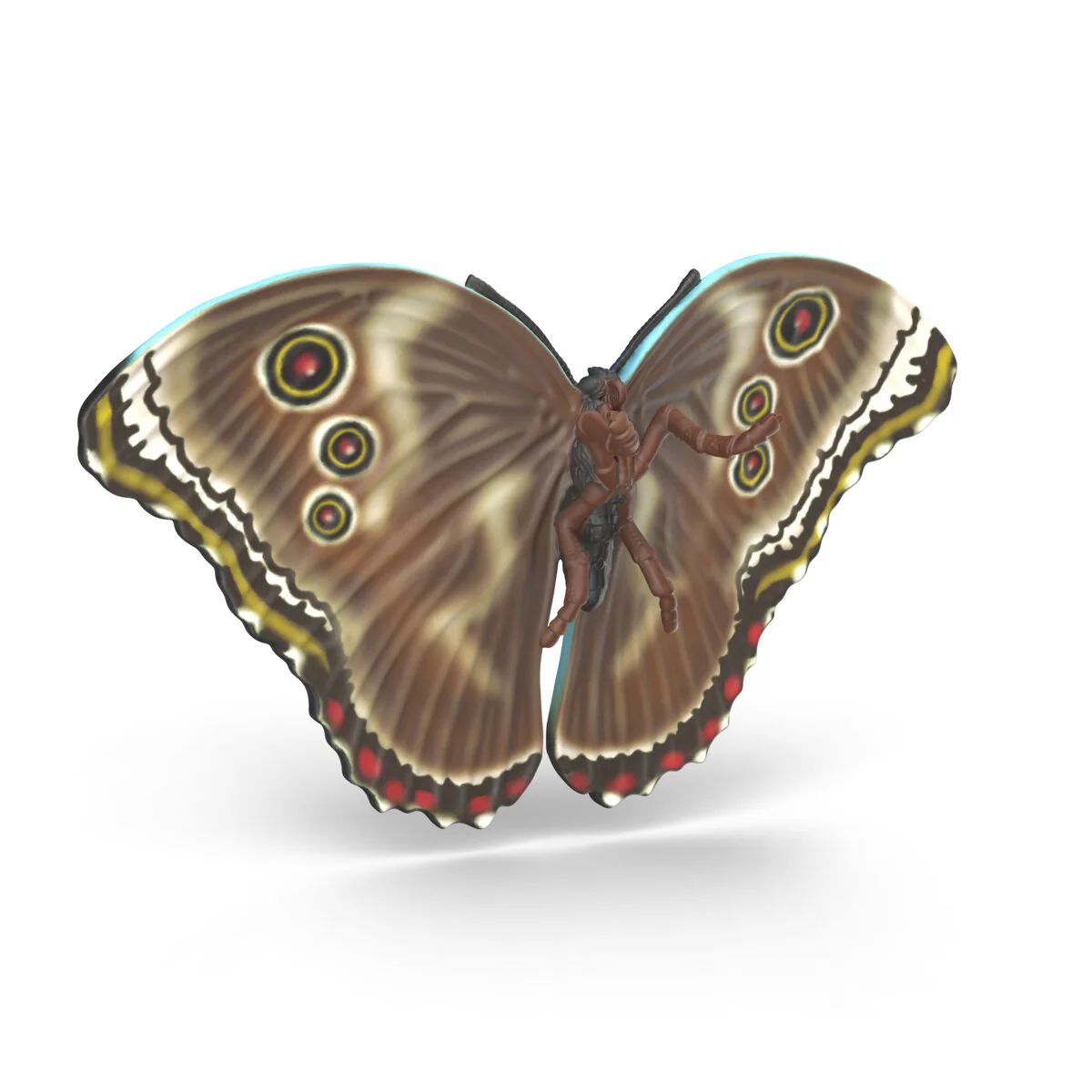 Insects discovery set - Image 6