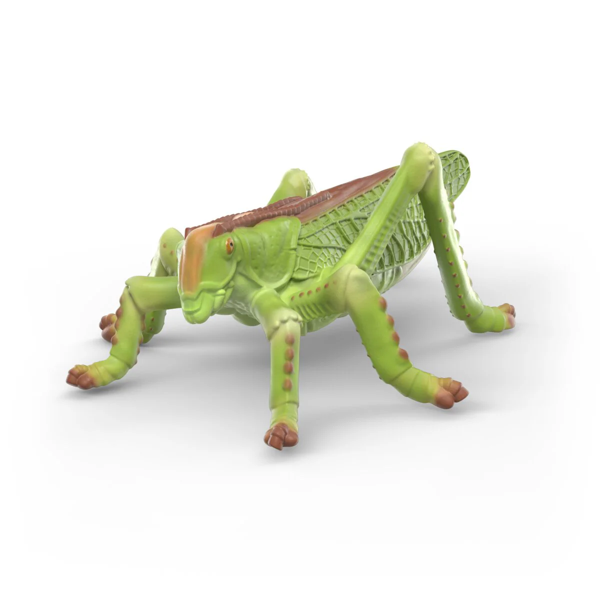 Insects discovery set - Image 8
