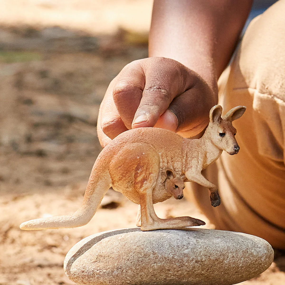 Kangaroo - Image 2