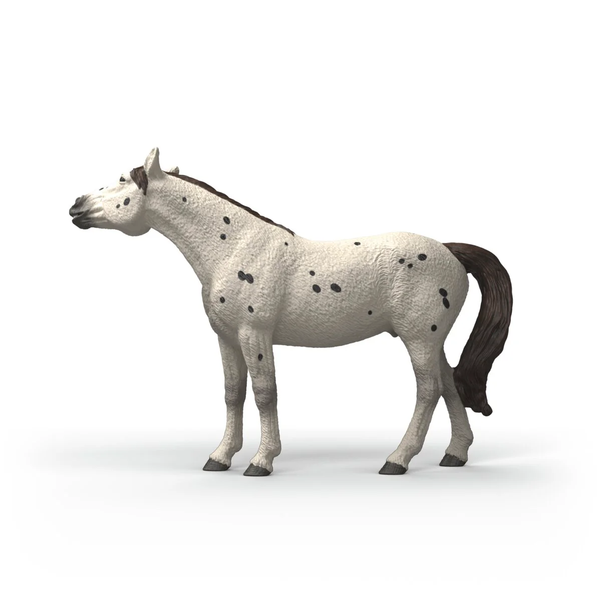 Knabstrupper Gelding - Image 4