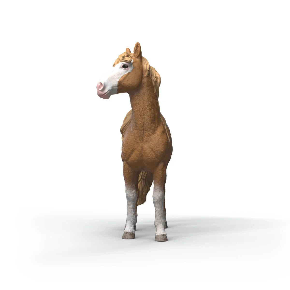 Mustang Mare - Image 3