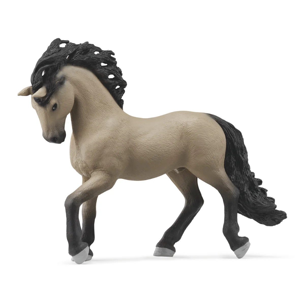 Pura Raza Española Stallion