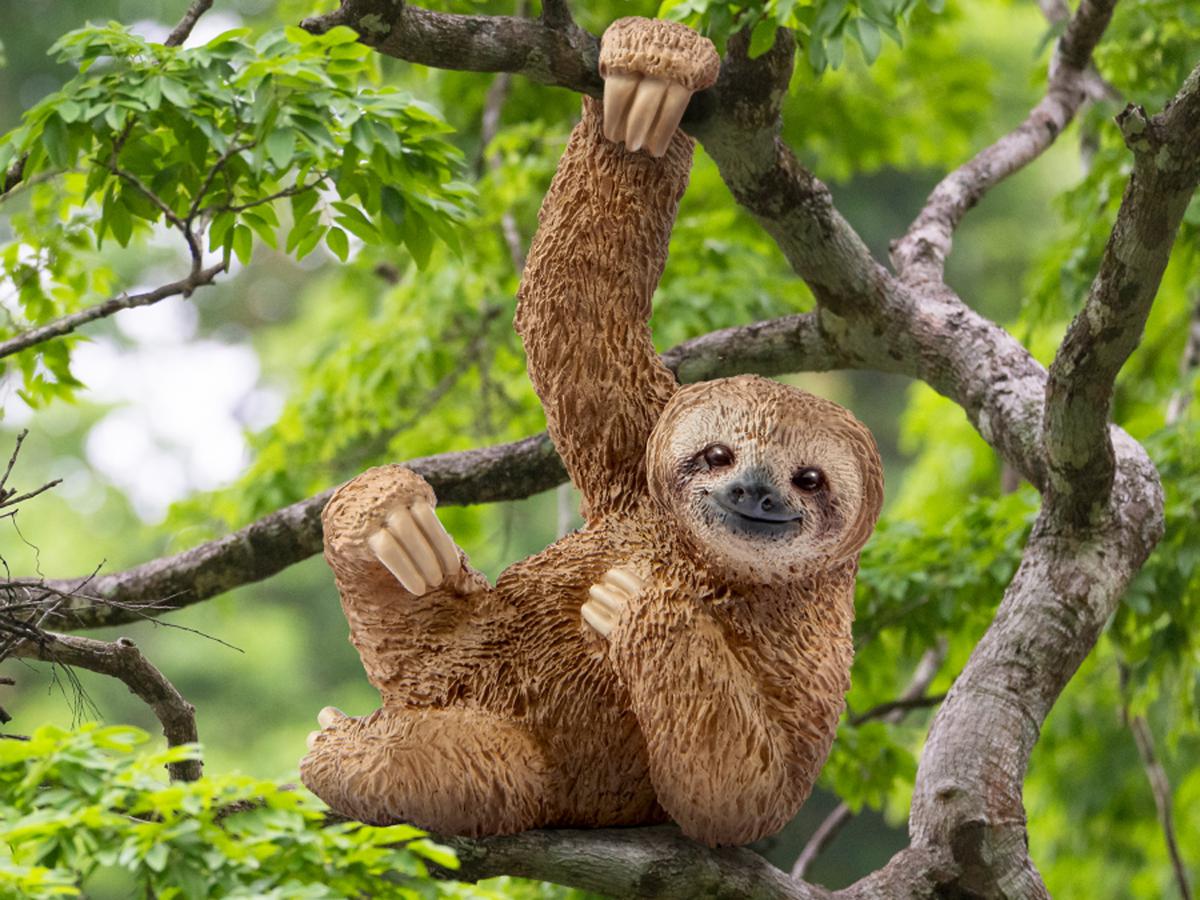 Sloth (bundle) - Image 2